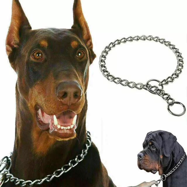 STAINLESS STEEL DOG Choke Collar Metal Chain Slip Pet Training