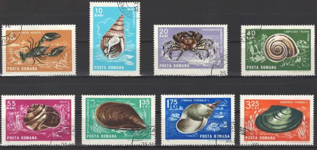 Rumänien, Weichtiere, 1966, gest., MiNr 2544-2551 Sa