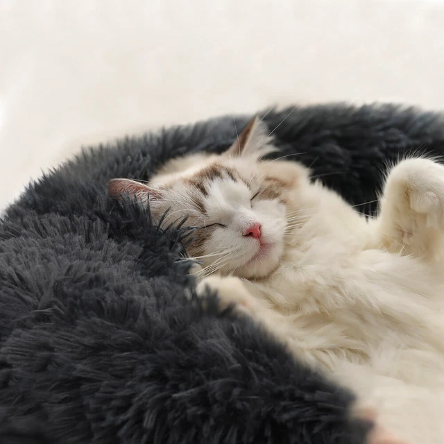 Donut Plush Pet Dog Cat Bed Fluffy Soft Warm Calming Bed Sleeping Kennel Nest