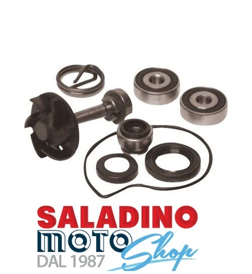 Kit Revisione Pompa Acqua Per Piaggio Zip SP Euro 2 50 2T 06-13 - Ricambio Completo