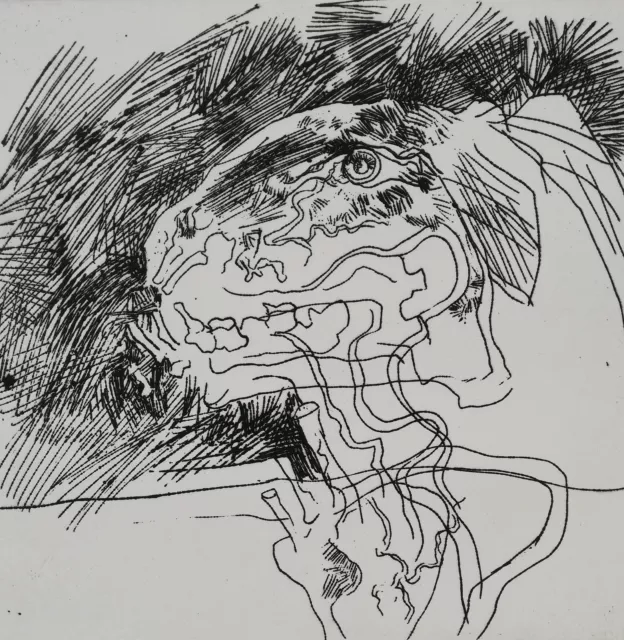 GIUSEPPE ZIGAINA: Incisione Acquaforte 70x50 del 1970; Firmata, Numerata, Timbro