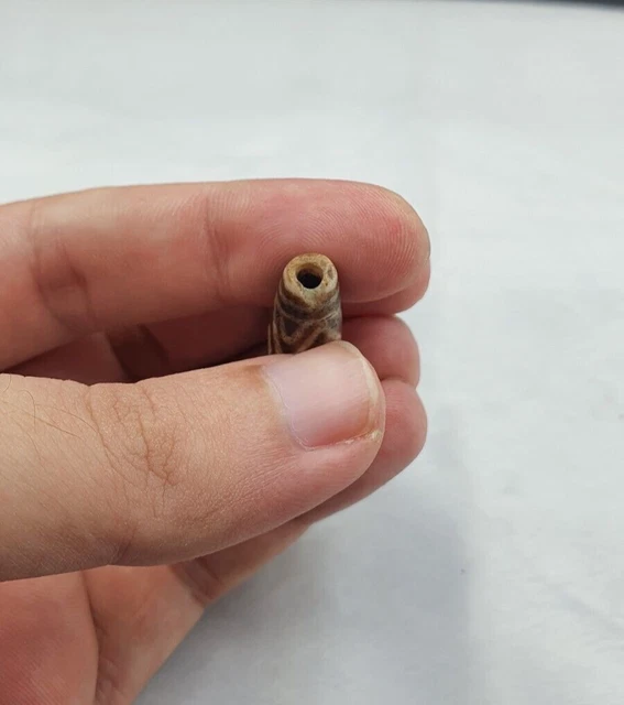 South Asian Burmese Antiques Trade Pumtek petrified Wood Beads Late 19 C. 31mm 5
