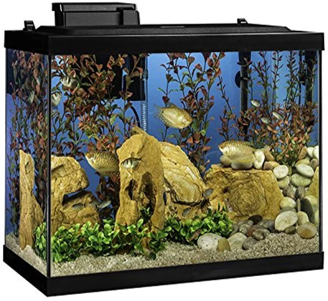 Tetra Aquarium 20 Gallon Fish Tank Kit, Includes LED Lighting and Decor