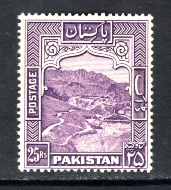 M18185 Pakistan 1948 SG43 - 25R violet perf 14