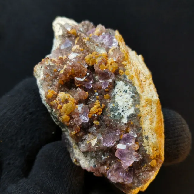 Scettro Ametista Viola Cristalli Minerali Pietra Collezione Pietre Naturali