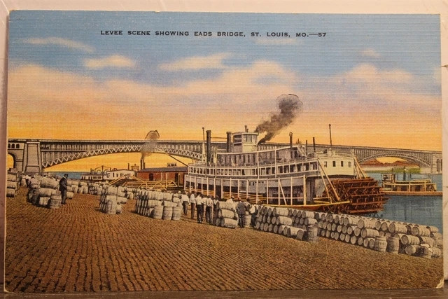 Missouri MO St Louis Eads Bridge Levee Postcard Old Vintage Card View Standard