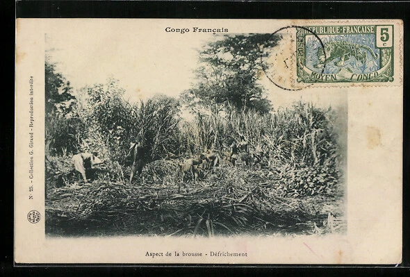 CPA Congo Francais, Aspect de la brousse, Défrichement
