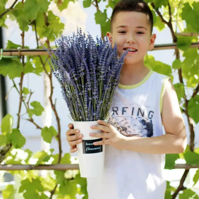 1 racimo de lavanda flor seca natural mejor regalo hierba REGALO...