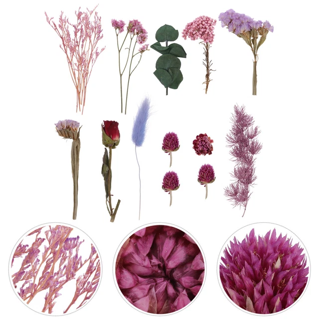 Flores secas Hacer usted mismo Flores secas Para resina Funda móvil Planta