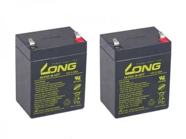 Batteria al piombo compatibile AGM sollevatore passivo gelsomino CJ1541965 CJ1541966 2x 12V 2,9ah
