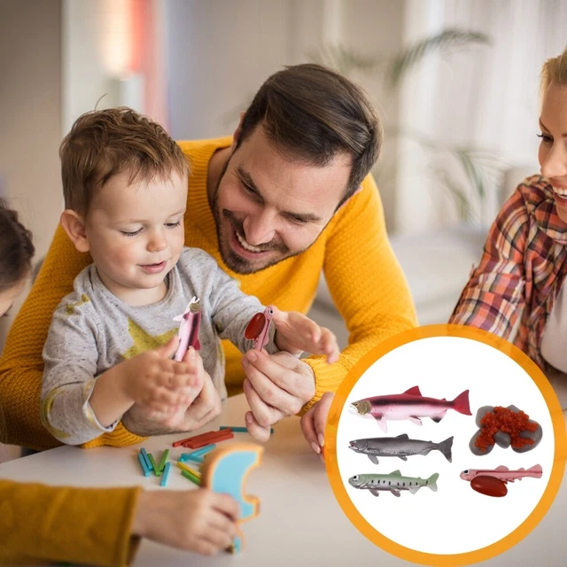 LIFE CYCLE MODEL Life Cycle Figurine School Science Toy Kids Biology