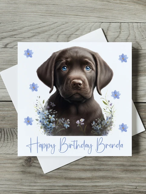 Purple Fox Biglietto D'auguri Per Compleanno Labrador – 145x145 Mm – Con Busta, Cartoncino Riciclato 350 G/m²