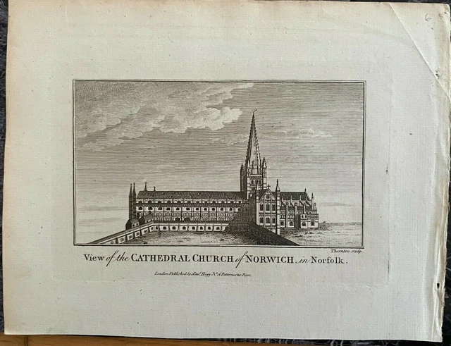 Antique Print Norwich View Cathedral Church Norfolk C1760 Pub. Hogg Eng Thornton