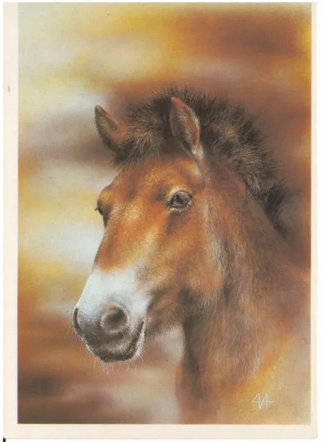 USSR postcard 1990 Przewalski's Нorse charity issue "Moscow Zoo" artist ISAKOV