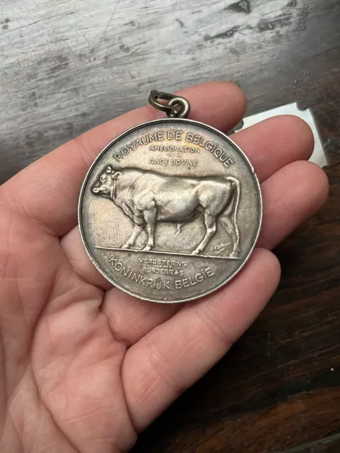 Antique Edwardian Agricultural Medal Cows Livestock 1909