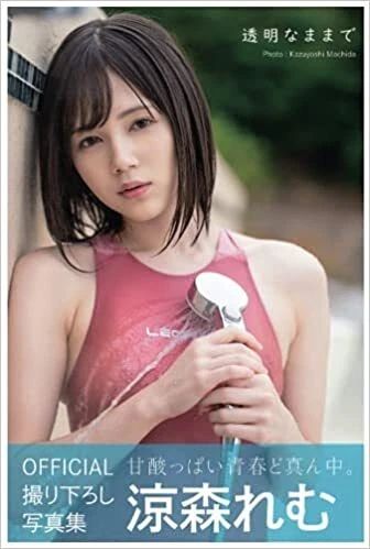 STAY TRANSPARENT REMU Suzumori: Hair Nude Photobook £48.74 - PicClick UK