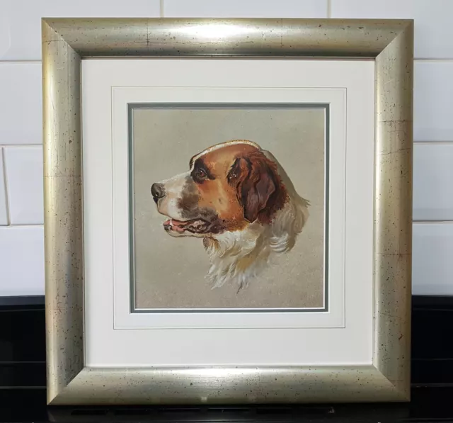 Original Old Antique 19th Century Oil Painting Dog Portrait of a St Bernard