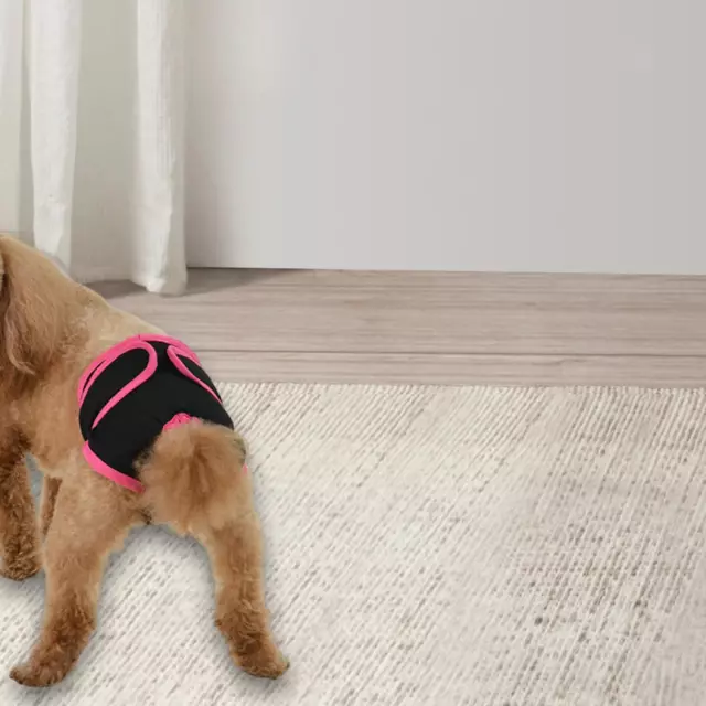 Couche menstruelle pour chien et chiot, pantalon physiologique, respirant,