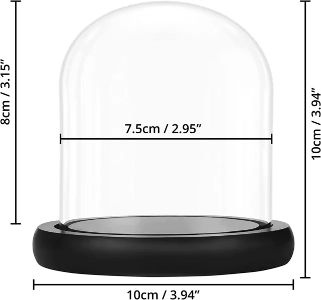 Belle Vous Glass Dome Cloche Bell Jar w/ Black Wooden Base - 10cm- Display Case 2