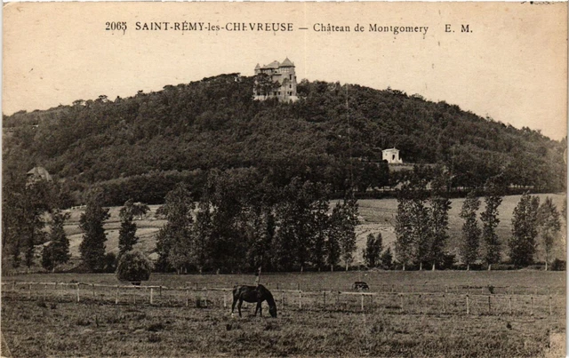 CPA AK St-RÉMY-les-CHEVREUSE - Chateau de Montgomery (353304)