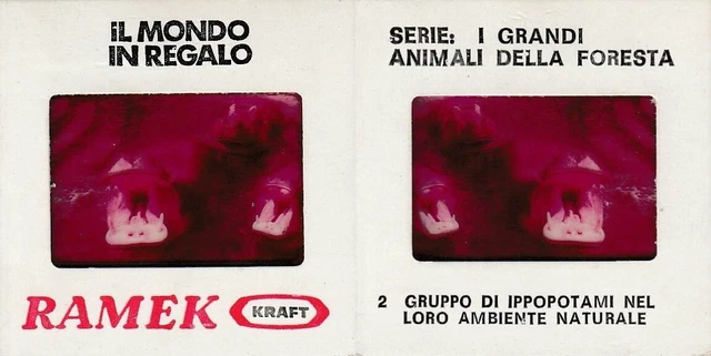 Diapositiva Formaggini Ramek Kraft - Serie I Grandi Animali Della Foresta N. 2