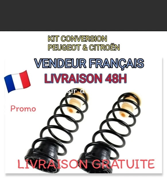 Kit De 2 Ressorts Pneumatiques Arrière Pour Citroën C4 Picasso - Compatible 5102R8 5102GN