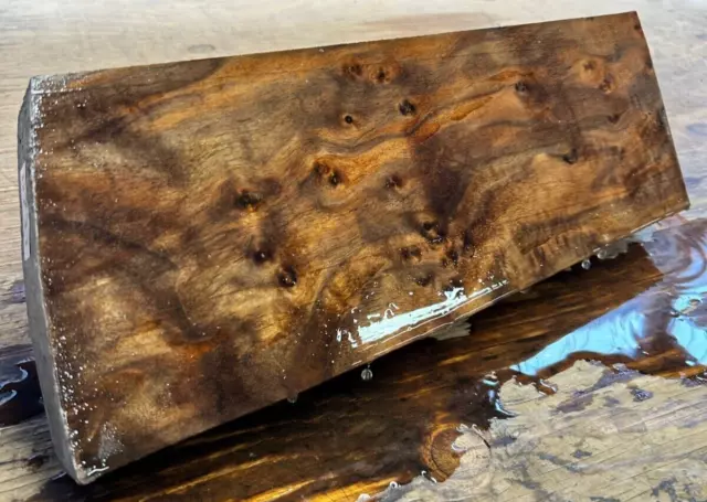 BIRDSEYE BURL WILD! GRAIN Claro Walnut Gunstock Stock Blank KD Shotgun 731