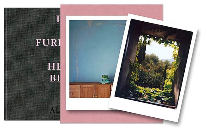 Alec Soth - (LTD ED print B) - I kknow how furiously-3565