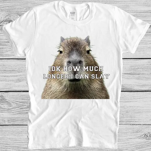 Idk How Much Longer I Can Slay Capybara Sarcastic Dan Meme Gift Tee T Shirt M945