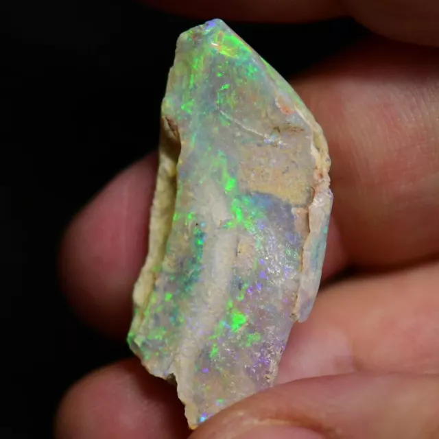 11.7 cts Australian Opal Rough Lightning Ridge Polished Specimen Wood Fossil