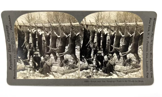 1903 Keystone View Co. Stereoview Card 12259 - Seven And One Hanging ￼