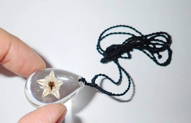 Clear Acrylic Necklace Cake Sand Dollar Specimen SD07 Clear