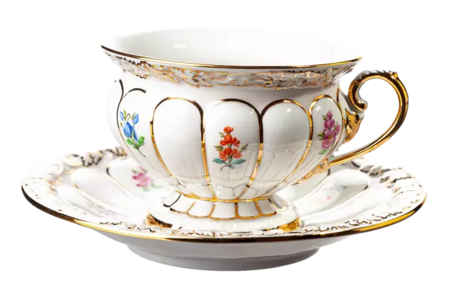 Meissen Kaffeegedeck gold angespritzt Streublümchen X-Form E.A.Leuteritz 1. Wahl