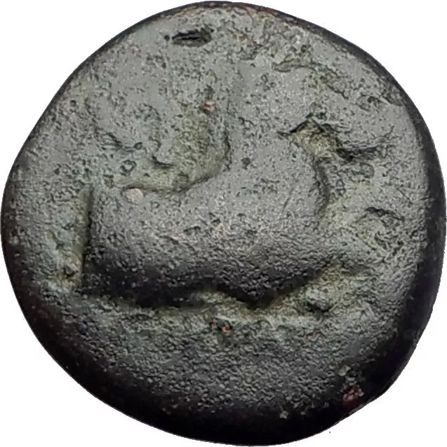 KYME in AEOLIS - Genuine 350BC Authentic Ancient Greek Coin  HORSE & VASE i64584