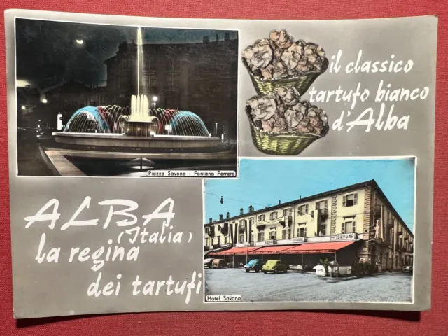 Cartolina - Alba ( Cuneo ) - Il classico tartufo bianco d'Alba - 1960 ca.