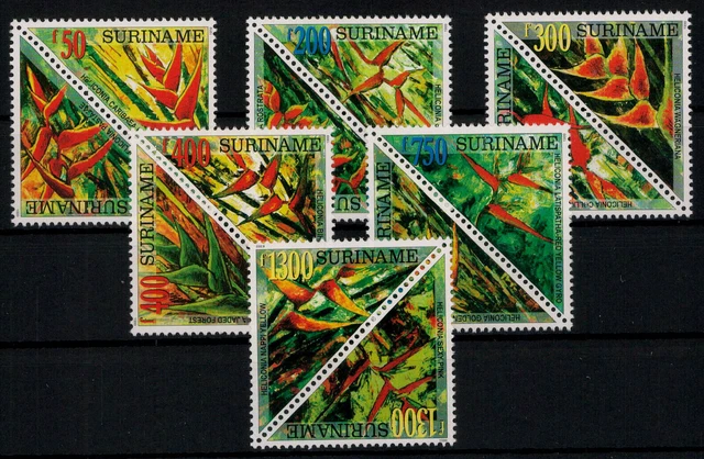 Surinam; Pflanzen der Gattung Heliconia 1999 kpl. **  (25,-)
