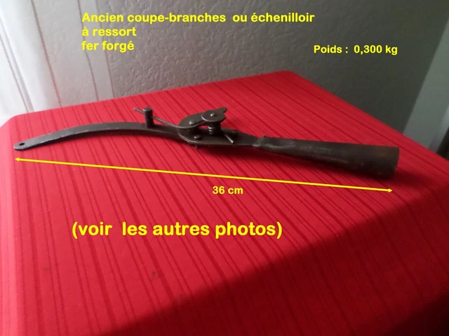 Ancien Fer à Arbre Cary – Club De Golf écossais Vintage, Marque Hickory