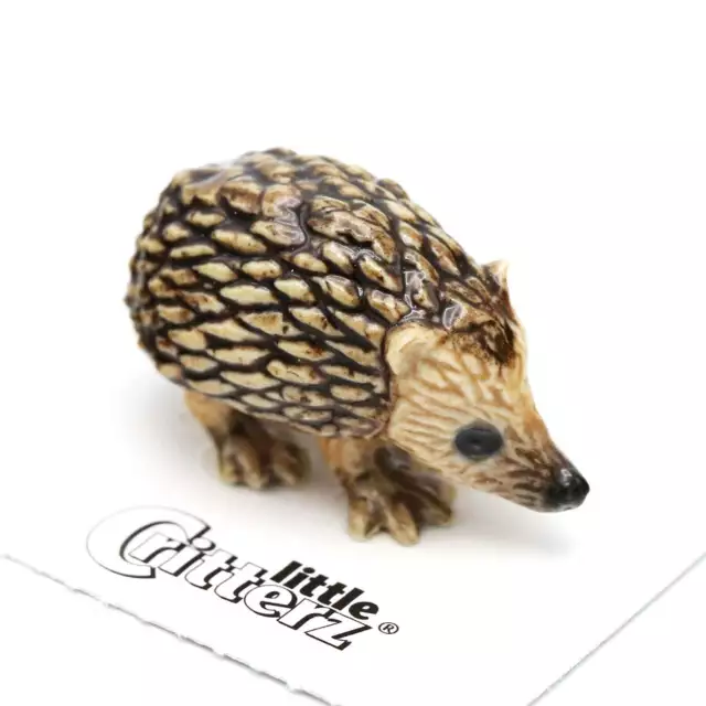 Little Critterz Hedgehog "Tiggy" Animal - Miniature Porcelain Figurine