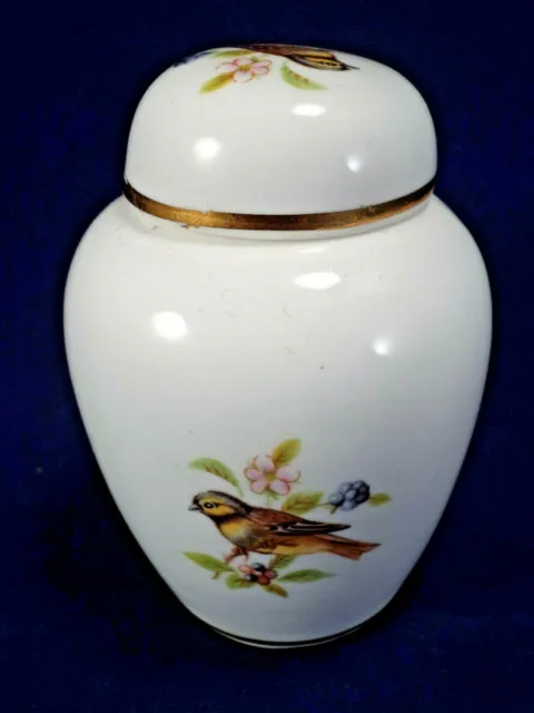 Miniatur Porzellan Urne & Deckel Gelbhammer Vögel Brombeeren 'Woodland China Derby' 9