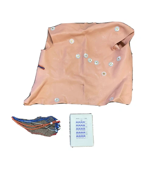 Statman 12 lead ecg trainer