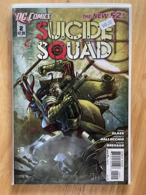 Suicide Squad #2 - New 52 - NM Unread