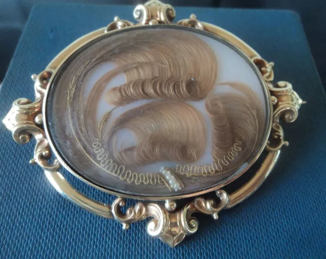 Wow Super Viktorianisch Sehr Groß 9ct Gold Trauer Haar Brosche C.1870 / 1890s Wow Super Viktorianisch Sehr Groß 9ct Gold Trauer Haar Brosche C.1870 / 1890s
