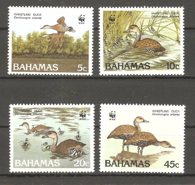 Vögel WWF 1988 Bahamas 672/675 postfrisch