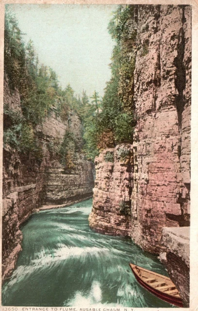 Vintage Postcard 1920's Entrance To Flume Ausable Chasm New York Detroit Pub.