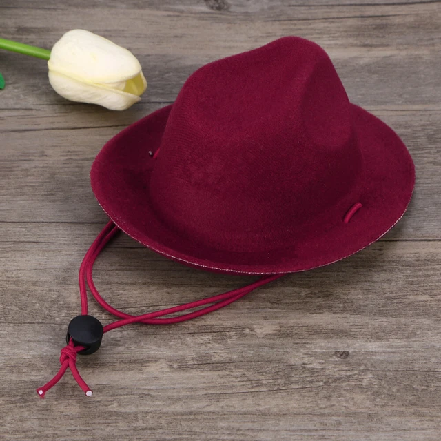 Costume de Cosplay de chat de chien de compagnie chapeau de cowboy noël 2