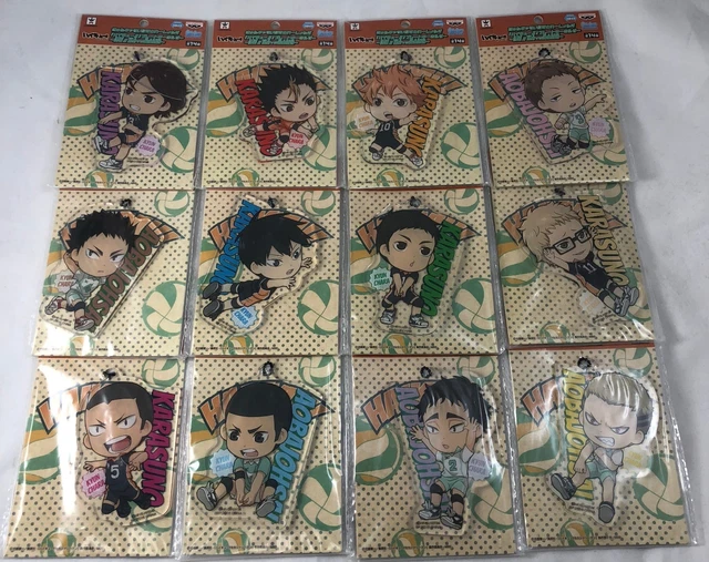 Haikyuu!! - Kyun Chara Acrylic Keychain Illustrations Plate - The Conclusion