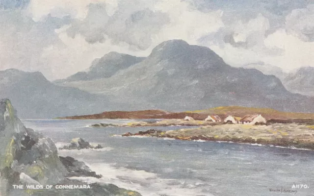 a irish art eire old postcard ireland artist connemara galway