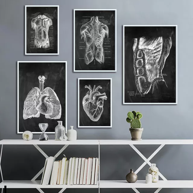 Anatomie Bilder Wandbild Menschlich Kunstwerk Drucke Poster Körper Erziehen