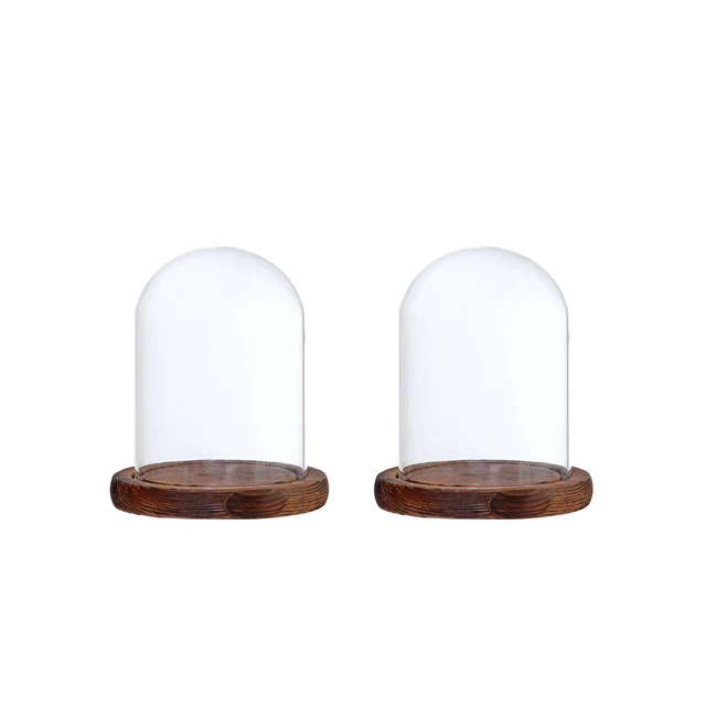 2 Stück 9 x 12 cm dekoratives Klarglas Display Dome Cloche Bell Jar Brown
