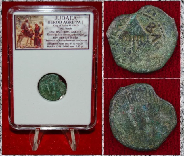 Ancient Coin JUDAEA Prutah HEROD AGRIPPA I Appointed By Caligula Jerusalem Mint